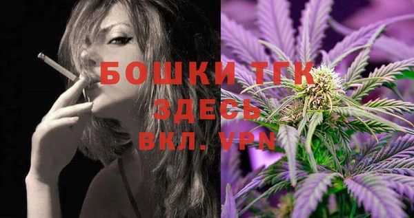 jwh Шенкурск