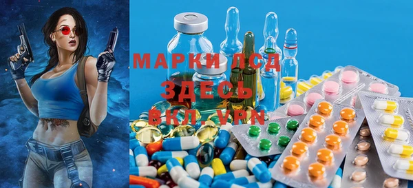 PSILOCYBIN Армянск