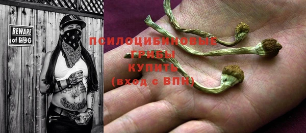 прущие крисы Аркадак