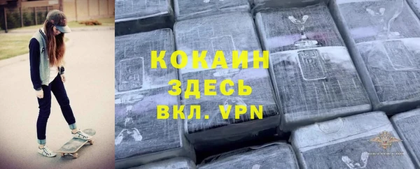 метадон Богданович