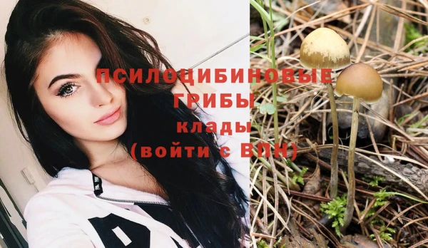 PSILOCYBIN Армянск